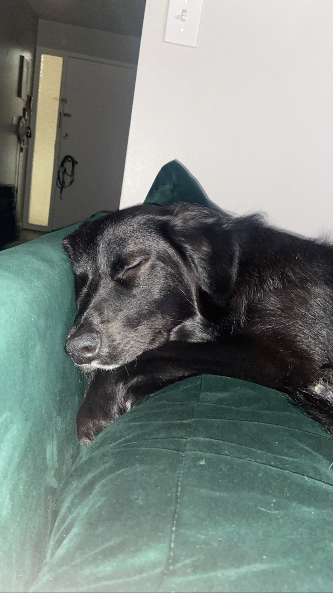 i hate it here tweet media