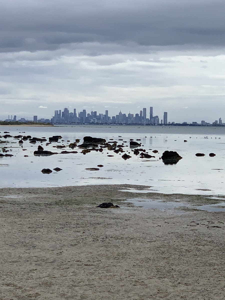 markwgow's tweet photo. Looking across the water to Melbourne https://t.co/wB6wT1tebL