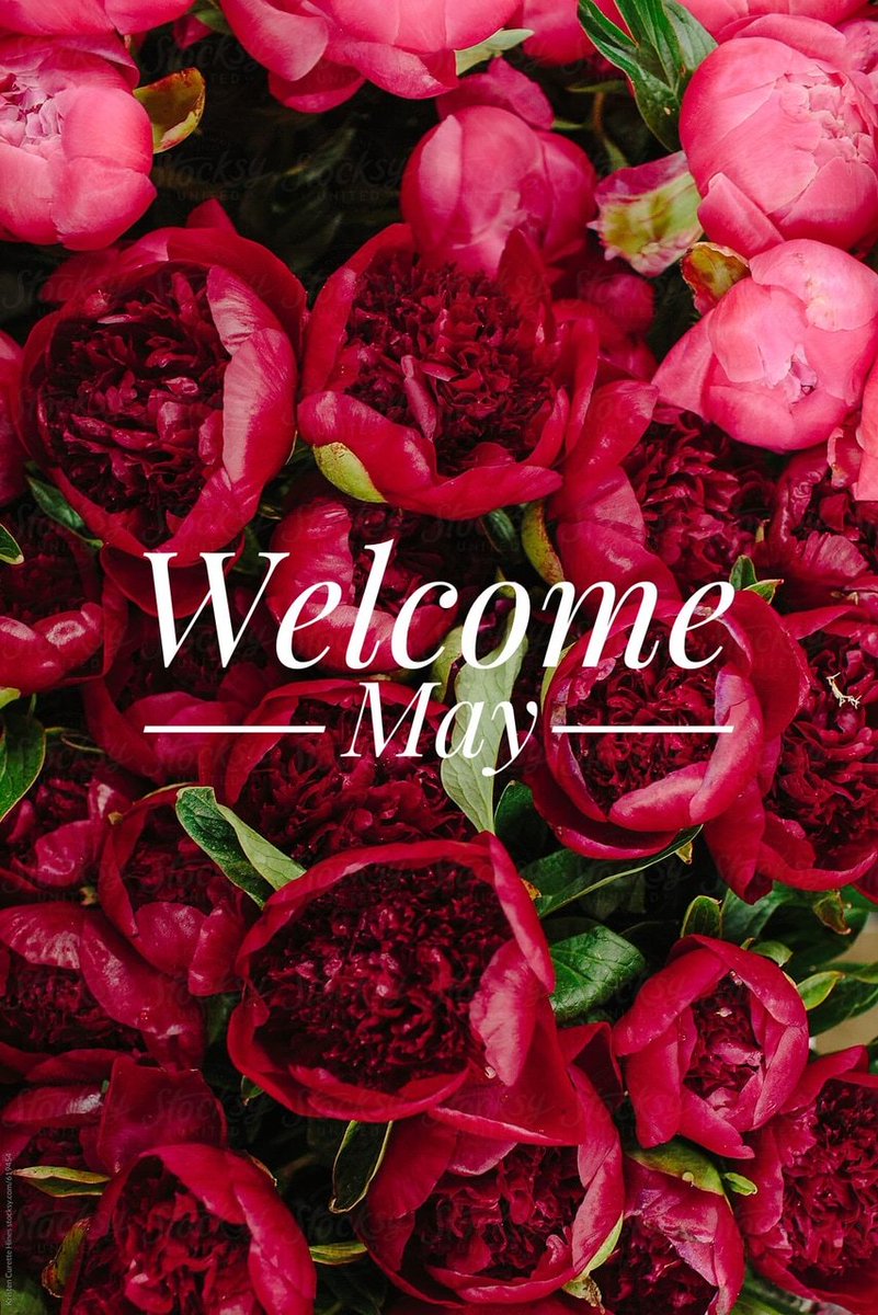 สวัสดีเพื่อนๆทุกท่าน
เดือนพฤษภาคม ขอให้เดือนนี้เป็นเดืือนที่ดีที่สุดในรอบห้าเดือนแรกของปีสำหรับเพื่อนๆทุกท่าน