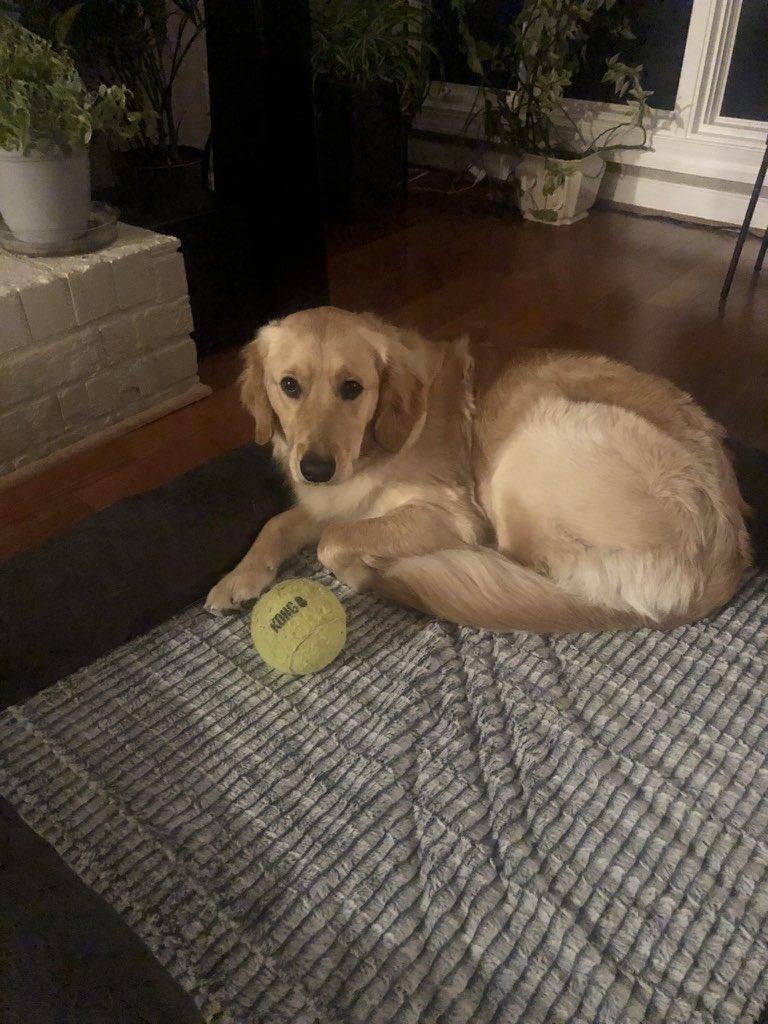 SenatorSassy's tweet photo. Send balls. https://t.co/CJVIW70eXj