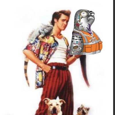 JoeDirtBags's tweet photo. #NewProfilePic https://t.co/SYL82cKWV6