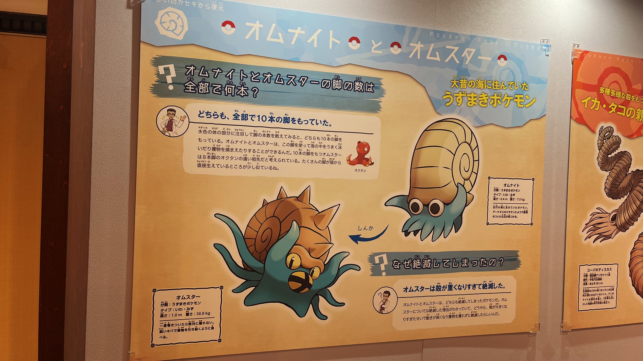 高遠 頼 生命科学vtuber たかとー らい 7 16 土 21時からbest Paper配信 Sur Twitter 国立科学博物館の ポケモン化石博物館 に行ってきました ポケモンのしんかと現実世界の進化の違いなど非常に学びとなりました 特にオクタンの祖先がオムナイトである等衝撃が