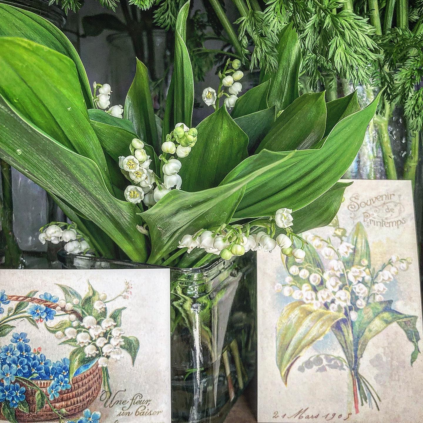 Arcobaleno スズラン 鈴蘭 Convallaria Majalis 学名 Our De Muguet すずらんの日 May 1 属性 キジカクシ科 スズラン属 原産地 ヨーロッパ アジア 別名 君影草 谷間の姫百合 ミュゲ 英名 Lily Of The Valley 花言葉 幸せの再来 純粋 Arcobaleno スズラン 鈴蘭 Convallaria Majalis 学名 Our De Muguet すずらんの日 May 1 属性 キジカクシ科 スズラン属 原産地 ヨーロッパ アジア 別名 君影草 谷間の姫百合 ミュゲ 英名 Lily Of The Valley 花言葉 幸せの再来 純粋