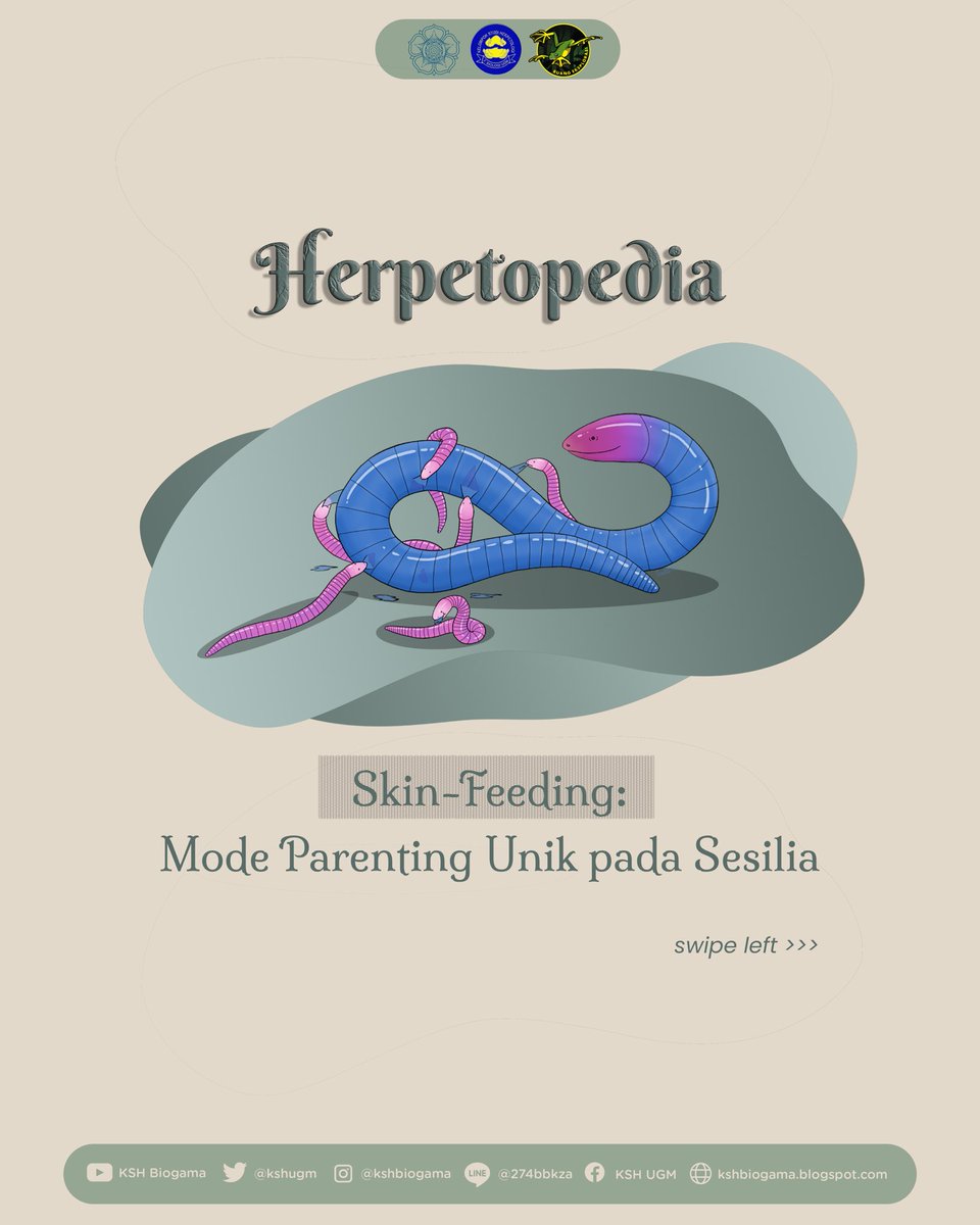 KSH Biogama tweet media