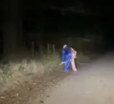 ned_sir's tweet image. chubbs is brewing a plan HEEHEWEEBLAABLAA SALAZAR BE AFRAID