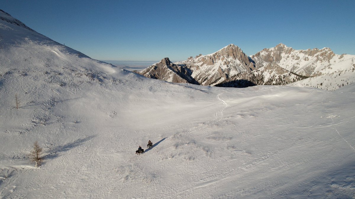 Hamid Sardar tweet media