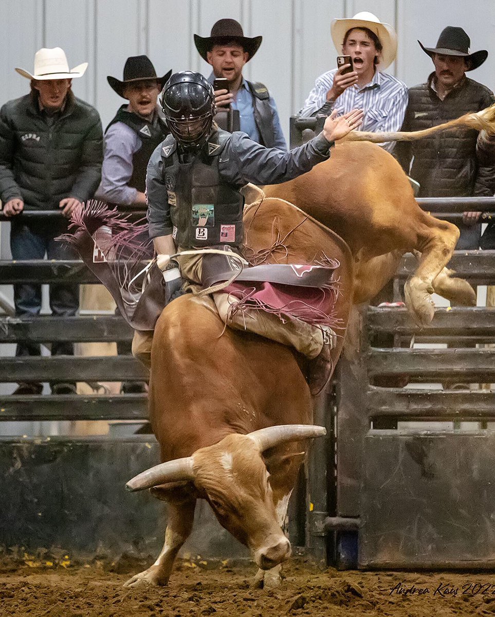 Aaron Williams Professional Bull Rider (@aaronwilliamsp1) on Twitter photo Thank you @kausphotos for the awesome pictures from King City! This next month will be a very exciting one that I can’t wait for! 
<a href="/bootbarn/">Boot Barn</a> 
#bootbarn #teambootbarn #codyjames #rank45 Thank you @kausphotos for the awesome pictures from King City! This next month will be a very exciting one that I can’t wait for! 
<a href="/bootbarn/">Boot Barn</a> 
#bootbarn #teambootbarn #codyjames #rank45