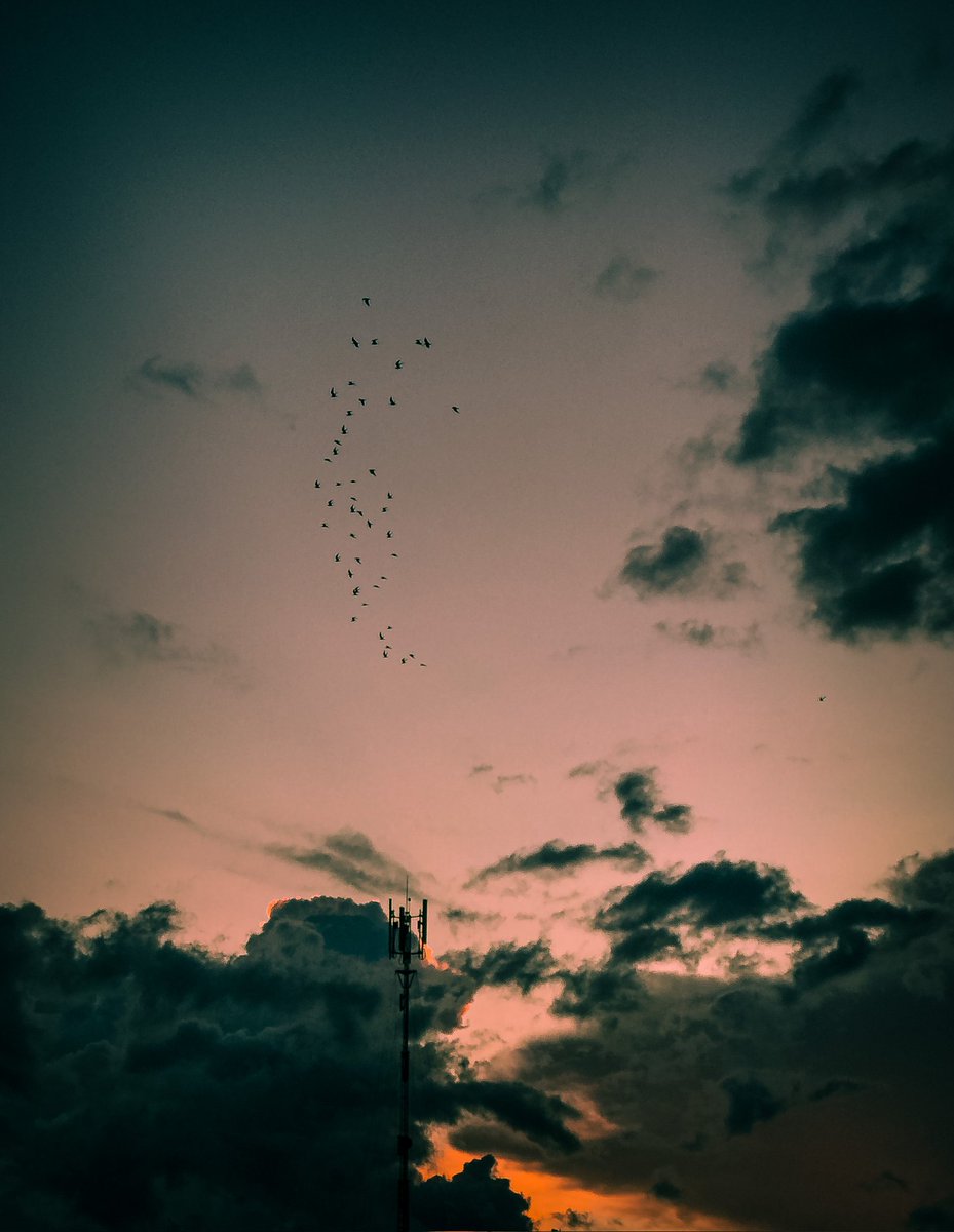iammashik's tweet photo. Forgot to post this🙂
#i7plus #lightroommobile #kdusc https://t.co/kfygjen9Bt