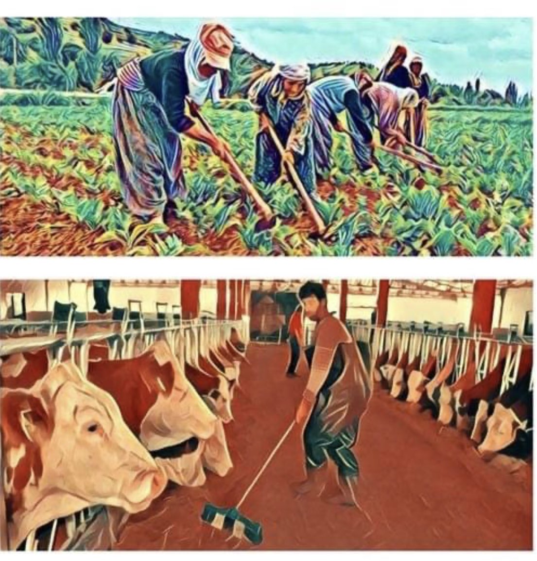 Başta tarım ve gıda alanında çalışanlarımız olmak üzere tüm çalışanların 1 Mayıs Emek ve Dayanışma Günü kutlu olsun.