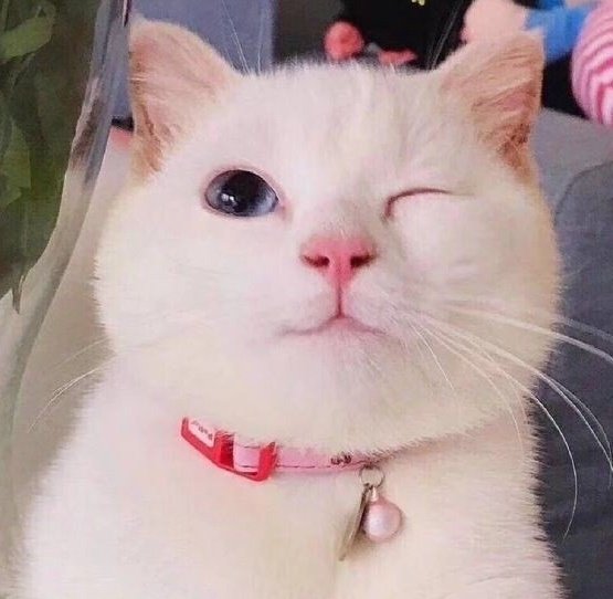 it's been a long time 💜
#Jungsu #정수