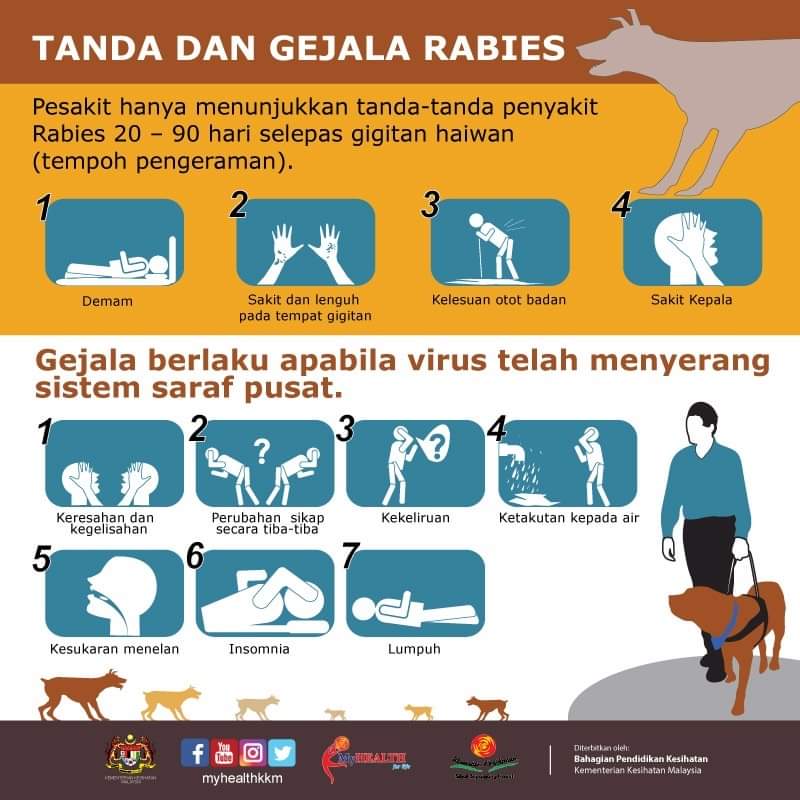 Aweeff's tweet photo. Selama ini virus rabies hanya dikesan di Sarawak je. Sebab itu jika menetap di Sarawak, tak boleh bawa haiwan peliharaan masuk semenanjung. Terpaksalah tinggalkan kucing/anjing di sana 😓

Rabbies ni kira penyakit 'Zombie' versi haiwan. Serang, gigit manusia, pastu manusia MATI. https://t.co/9U9pejRDfl