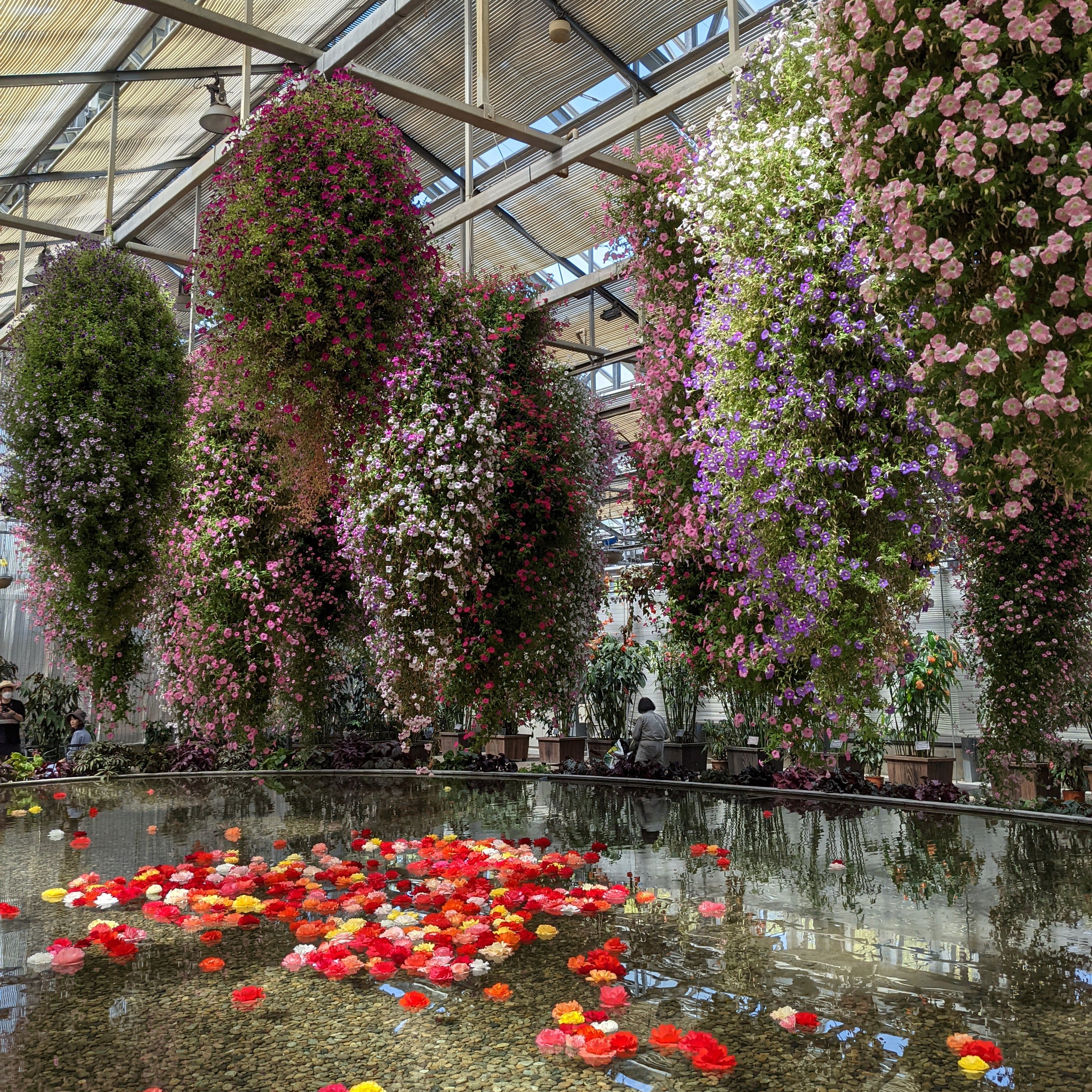 Samzairu こんにちはsamuzairuです なばなの里散策 ベゴニアガーデンの見どころの一つ 池に浮かぶベゴニアの花 見渡す限りの草花 色鮮やかに咲く姿が綺麗で感動的でした 出口の看板には皆さん綺麗な花姿を振り返って もう一度見てください って