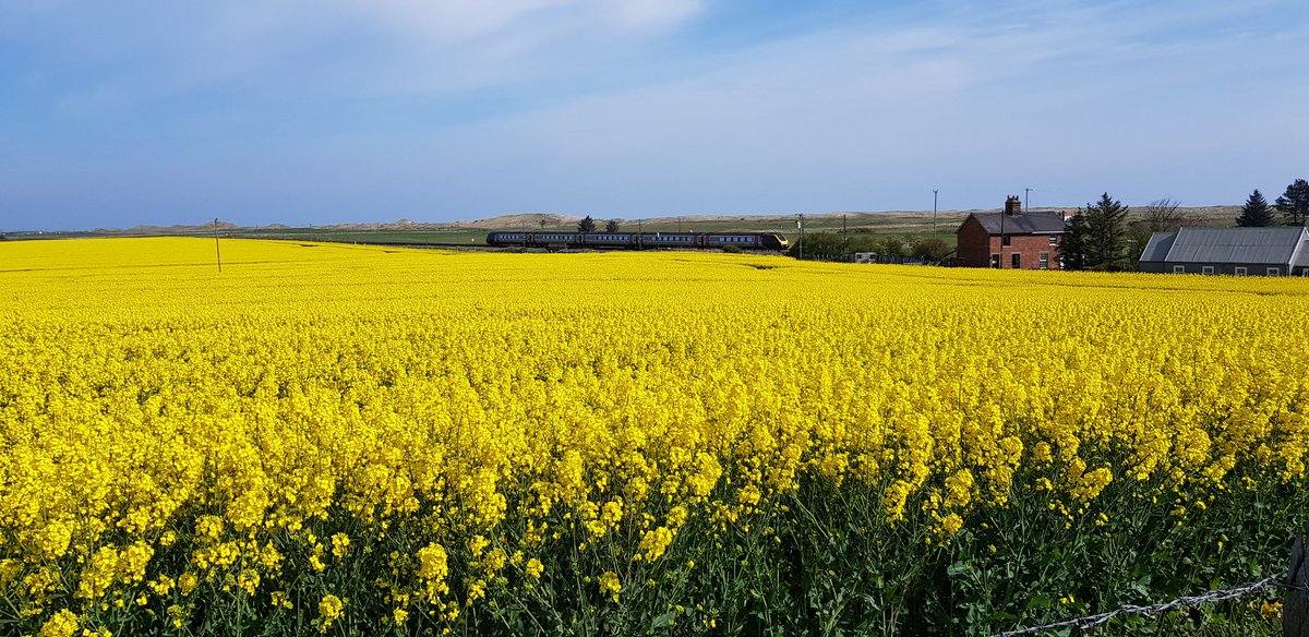 cmaddockmuckle's tweet photo. Berwick to Warkworth on day 1 of trip south through #Northumberland following @Sustrans CN1 route.  A day of castles and fields of gold. https://t.co/Ivs23pk6ai