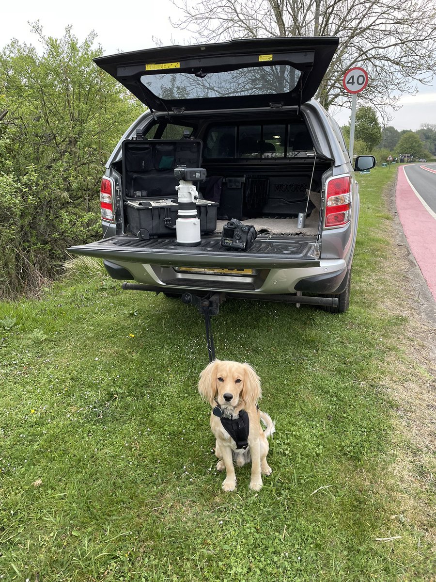 Mike Savage Photo tweet media