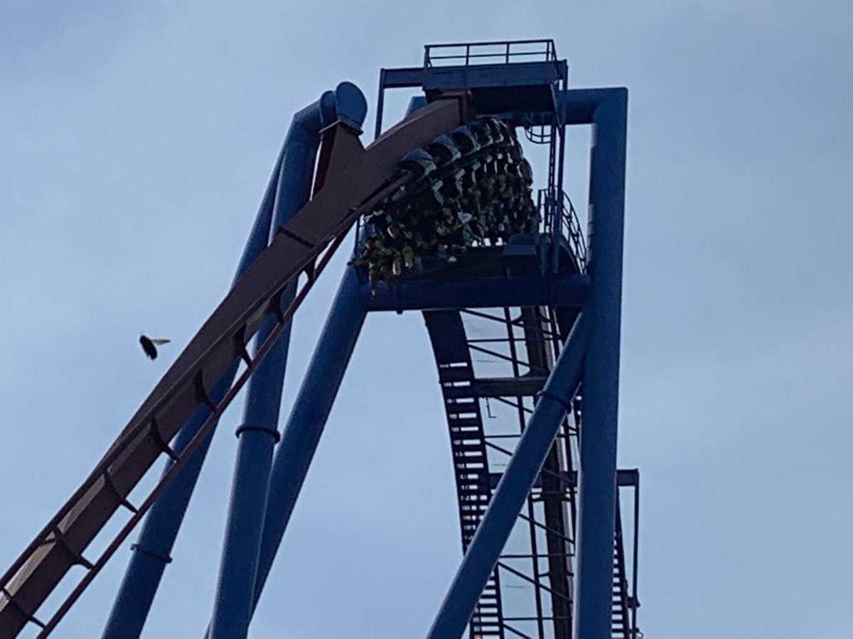 BuckeyeCoaster's tweet photo. Had a great time hanging out with Jeremy and meeting lot of great people at the 50th anniversary celebration of @KingsIslandPR ! #KingsIsland #KI50 #KI2022 #KI1972 #KICelebration #KIAnniversary 🎉
~Shawn
@DonHelbig @chadshowalter https://t.co/czMobihAlP