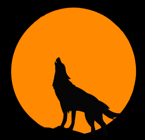 FamousFoxFed's tweet photo. Go out there and show everyone the power of 🟠. Show them why foxes are here to stay and why we never back down. #FamousFoxes 
The 🟠 tide is coming. https://t.co/ZnPS5cAbq1