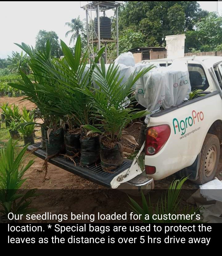 KEHINDE SOTONWA (@kennysotonwa) on Twitter photo 