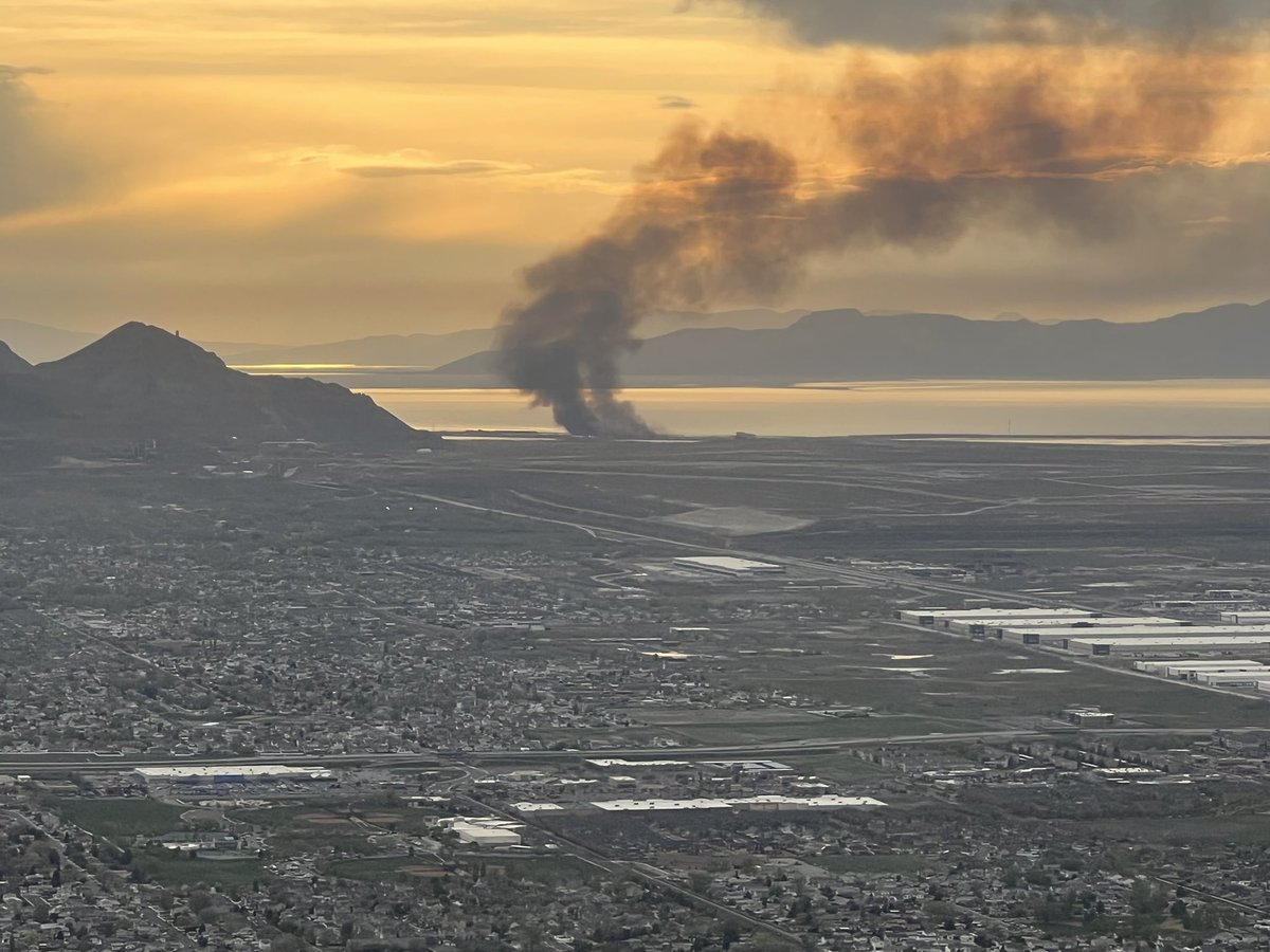 Davis Smith tweet media