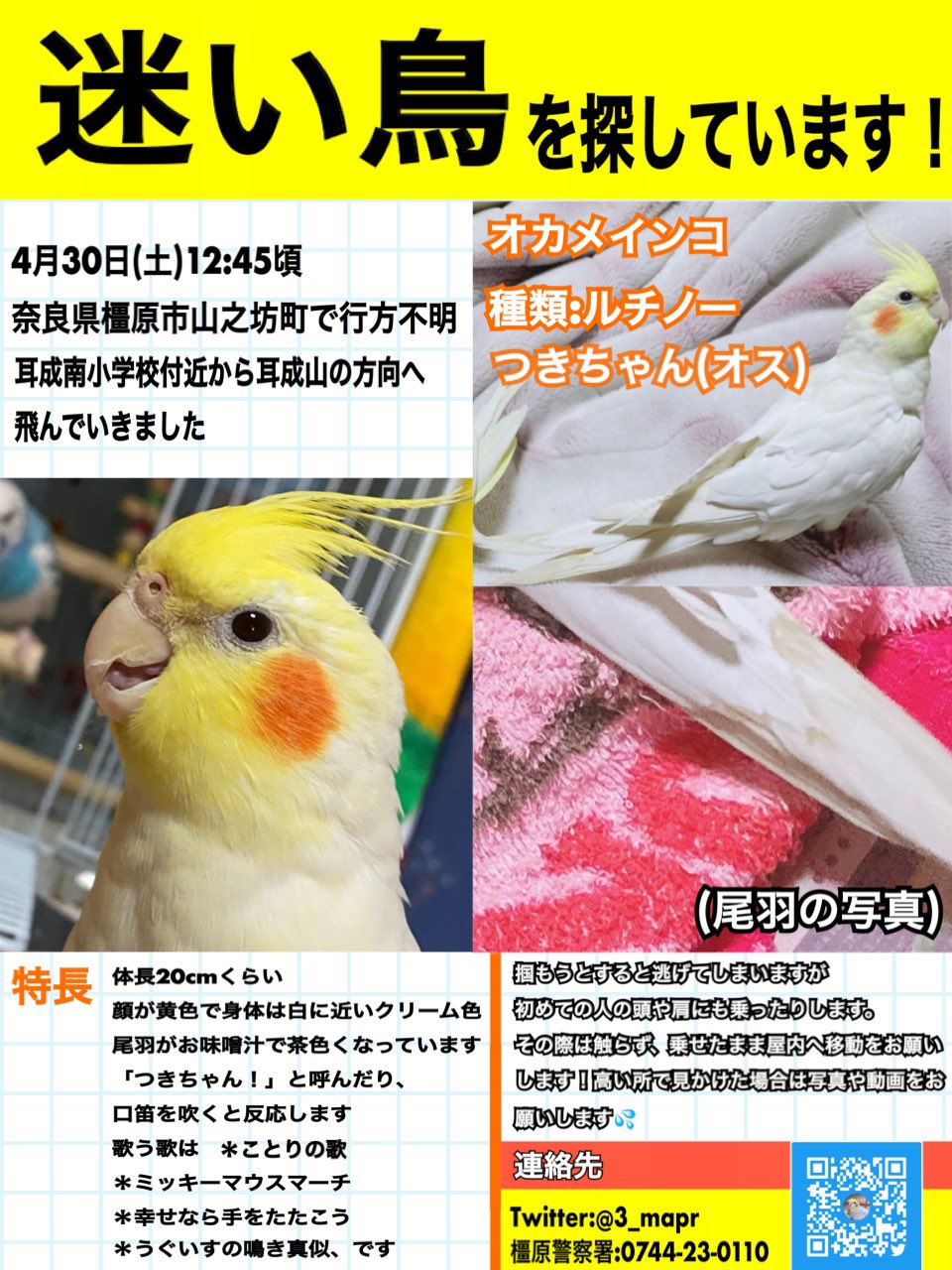 迷子のつきちゃんの飼い主 3 Mapr Twitter