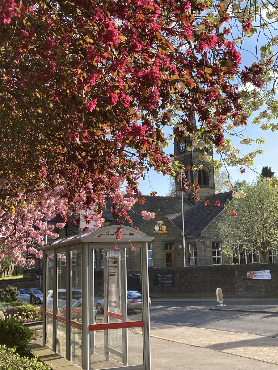 And at the bus stop…
🌸🤍🌺🌸🤍🌺🌸🤍🌺🌸🤍🌺
#BlossomTrees #BeautifulTrees #BlossomTime #TheArtOfNature #SpringBlossom #Silsden #BusStop #CherryBlossom #桜 #Sakura #Spring #Blossom #Trees #BlossomSeason #PinkBlossom #WhiteBlossom #DarkPinkBlossom #BlossomWatch #BlossomWatch2022