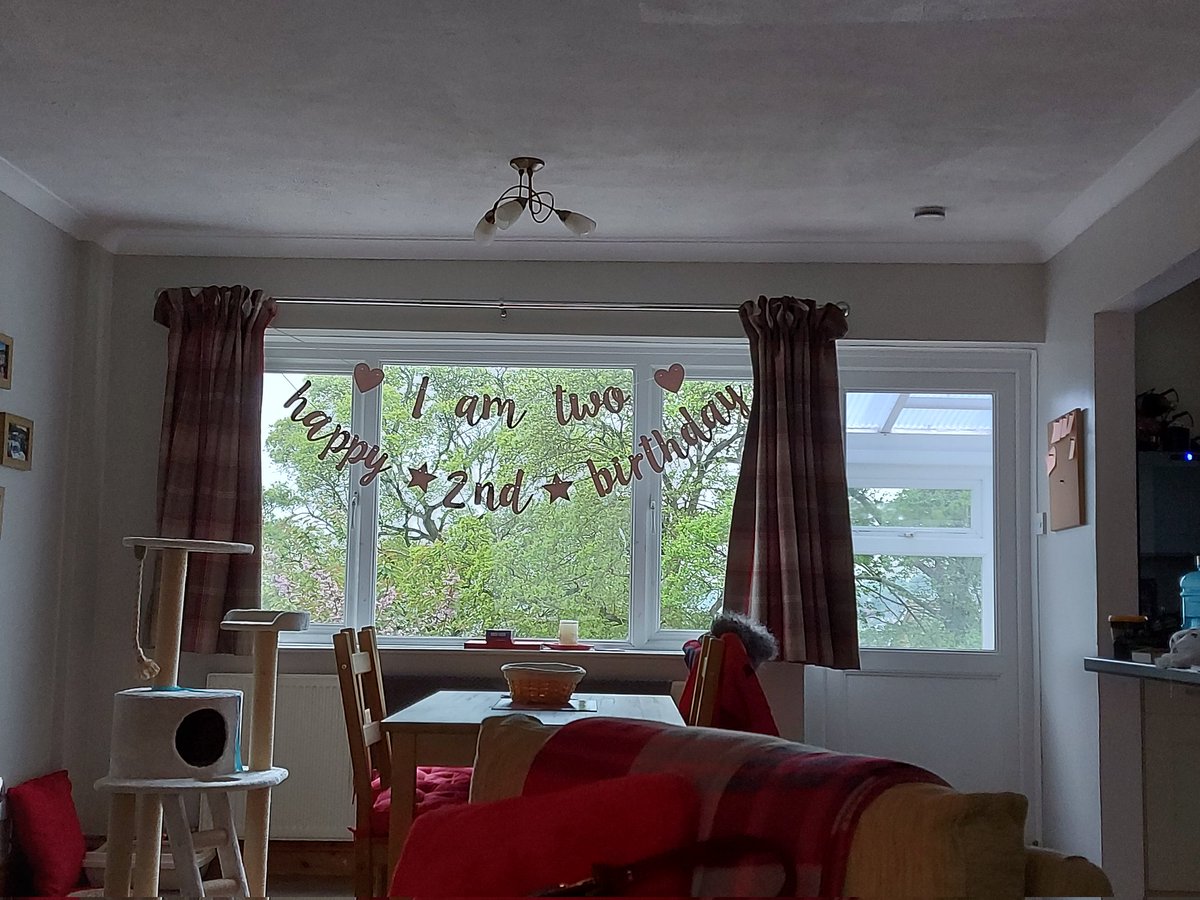 Rebecca Chapple tweet media