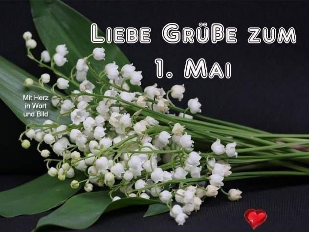 Kruemelchen3's tweet photo. https://t.co/IPhp4MMrex