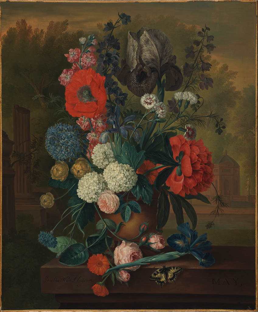 Jacob van Huysum - Twelve months of flowers: May, 1730s, The Fitzwilliam Museum, Cambridge oil on canvas #stomouseio #TheFitzwilliamMuseum #Cambridge #JacobvanHuysum #May2022