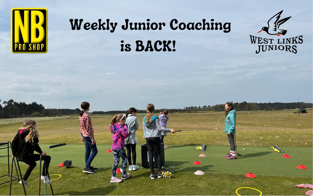 Katy McNicoll Golf Performance Coaching tweet media