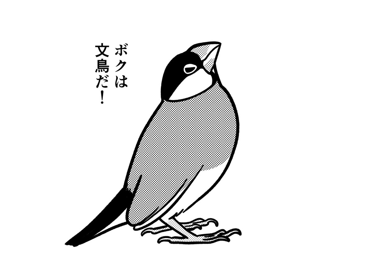 ボクは文鳥だ 