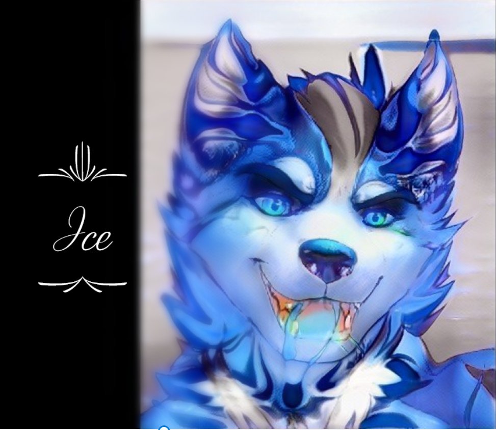 CryptoWolfiez's tweet photo. 🚨🚨Time for another #NFTGiveaway🚨🚨
Win yourself a #LunaPack wolf! 🐺🐺🔥
1️⃣LIKE & FOLLOW
2️⃣RT & Tag some #LUNAtics
3️⃣join us on discord https://t.co/rTfCi8Aq6X
Winner in 48 hours!
4 of 6 packs shown below 🥳
#NFTs
#NFTGiveaway
#NFTCommumity https://t.co/hkJH2nFMj5