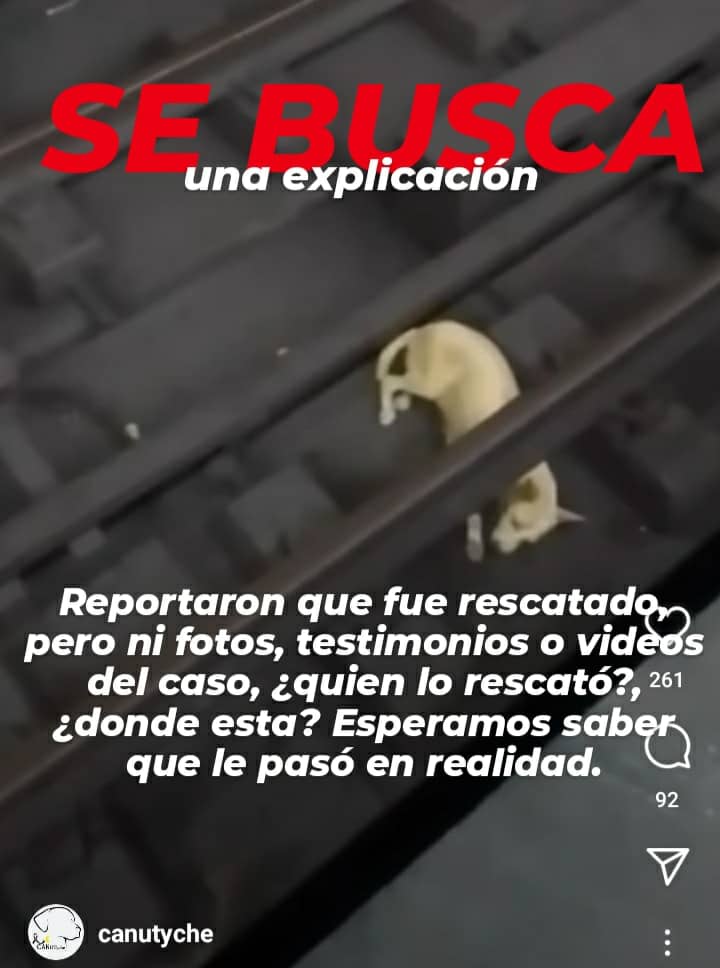 LaNegrafamproa's tweet photo. @PerroUsuario https://t.co/6qMVvKm68q