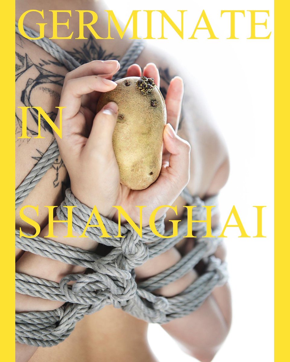 #緊縛 #shibari #shibariphotography #kinbaku #ropes  #kinky #bdsm #shibarifashion #bondage #繩縛 #绳艺 #縛り #緊縛 #Shanghai #covid_19 #lockdown https://t.co/vNMtCmGrEF