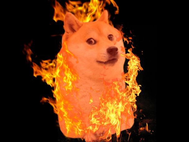 Today is #BabyDoge 11 month birthday! 

At 7pm EST we will burning 4 quadrillion baby doge !