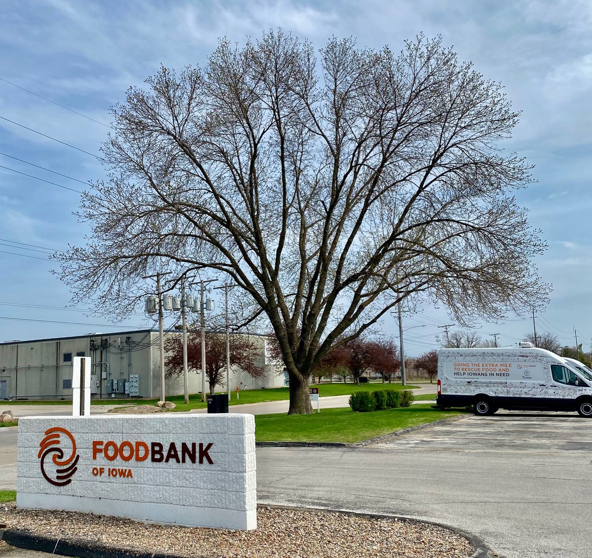 OlsonTreeCare's tweet photo. Honored to help the Food Bank of Iowa with Vitality Assessments and EAB control on this remaining green ash (Fraxinus pennsylvanica) 

We couldn’t save them all, but retaining this one will be a testimony to future generations.

#motivation #local #Iowa #foodbank #community https://t.co/CQgydeqrv8