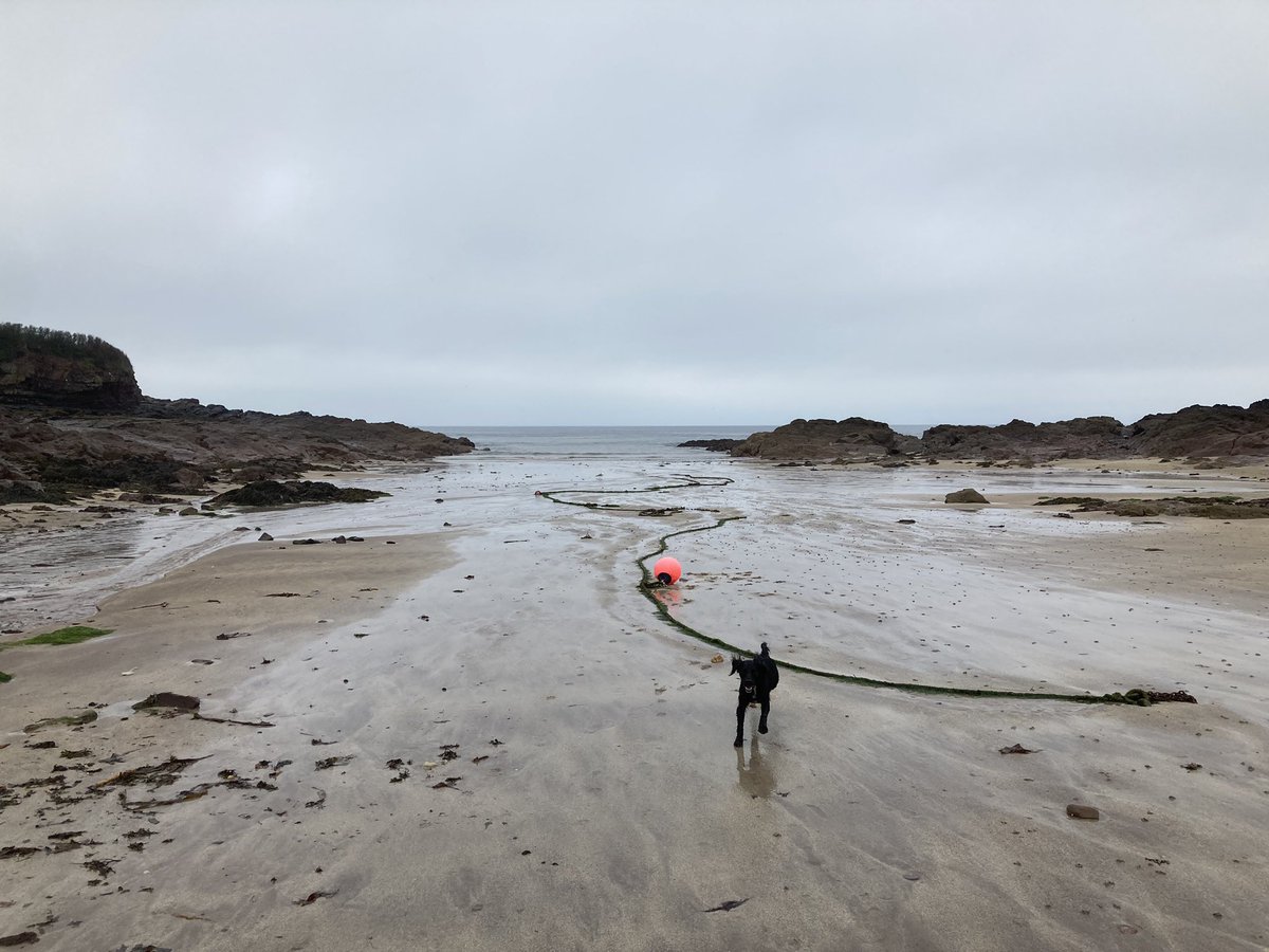 Another overcrowded Pembrokeshire Beach! @StBridesBay