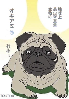 #蘊蓄 #雑学 #トリビア ('・ω・`)わふっ 