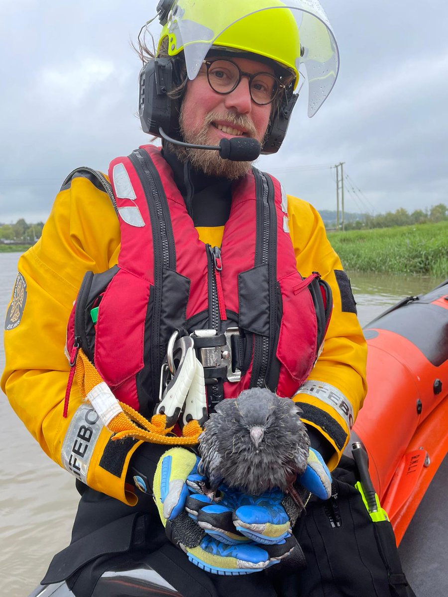 Ferryside Lifeboat tweet media