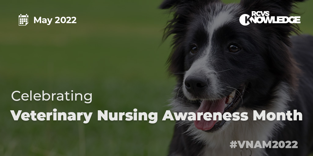Today is the start of #VeterinaryNursingAwarenessMonth. Throughout the month, we look forward to celebrating the importance of the veterinary nurse role, diverse careers and resilience within the profession. 
#OurProfessionMyResilience