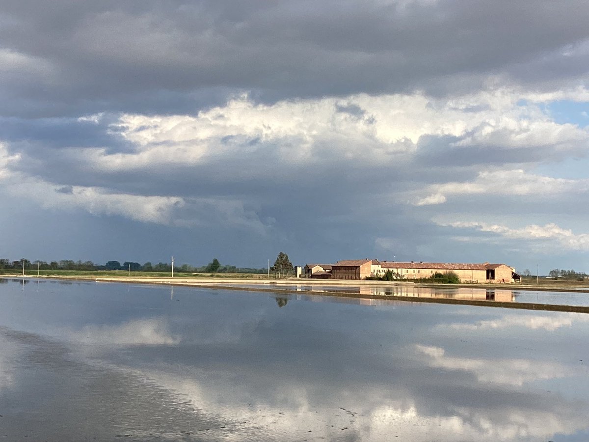 In primavera la cascina si dà arie da isola

📷 Motta de’ Conti, Cascina Rinaldina