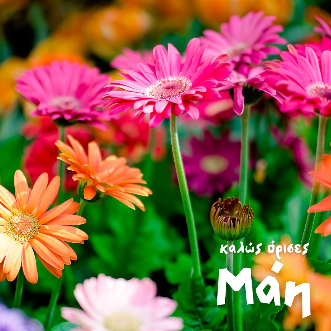 Passion4Design7's tweet photo. 🌺 Καλώς όρισες Μάη! 🌼
Να έχουμε έναν υπέροχο μήνα με υγεία, όμορφες στιγμές και χαμόγελα! 😊
#Passion4Design #p4d #webdesign #design #website #logo #graphics #graphicdesign #web #marketing #brand #may #spring #love #laugh #happy #moments #sun #fun #welcomemay #hellomay https://t.co/xmHZaCYWSU