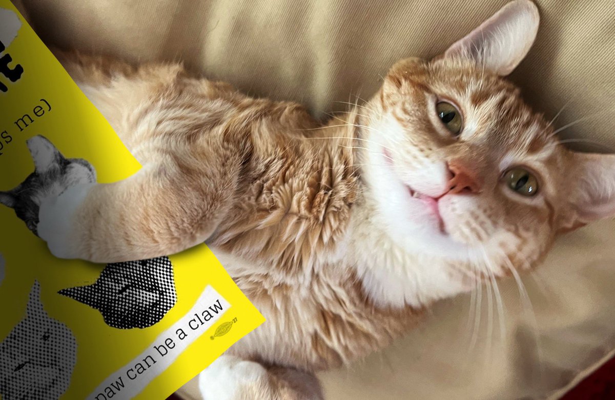 WOW. Jean didn’t just make ME a present, she made a present for everyone! I got my own but you can buy one too, and the proceeds go to worker funds that will help fund our revolution. Happy May Day everyone