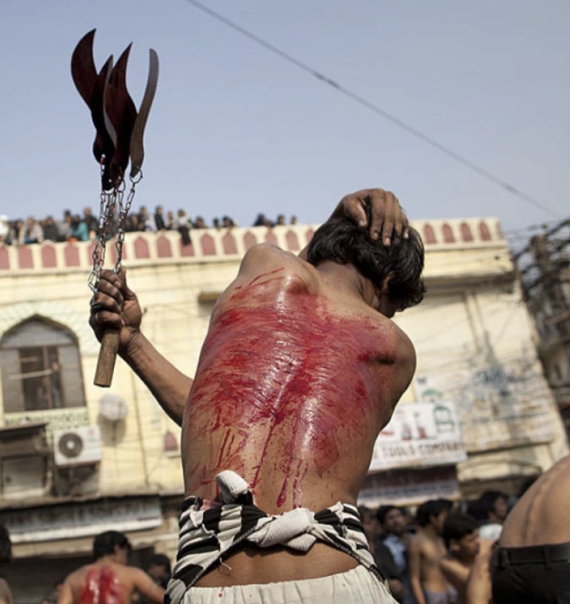 Nick Salloway tweet media