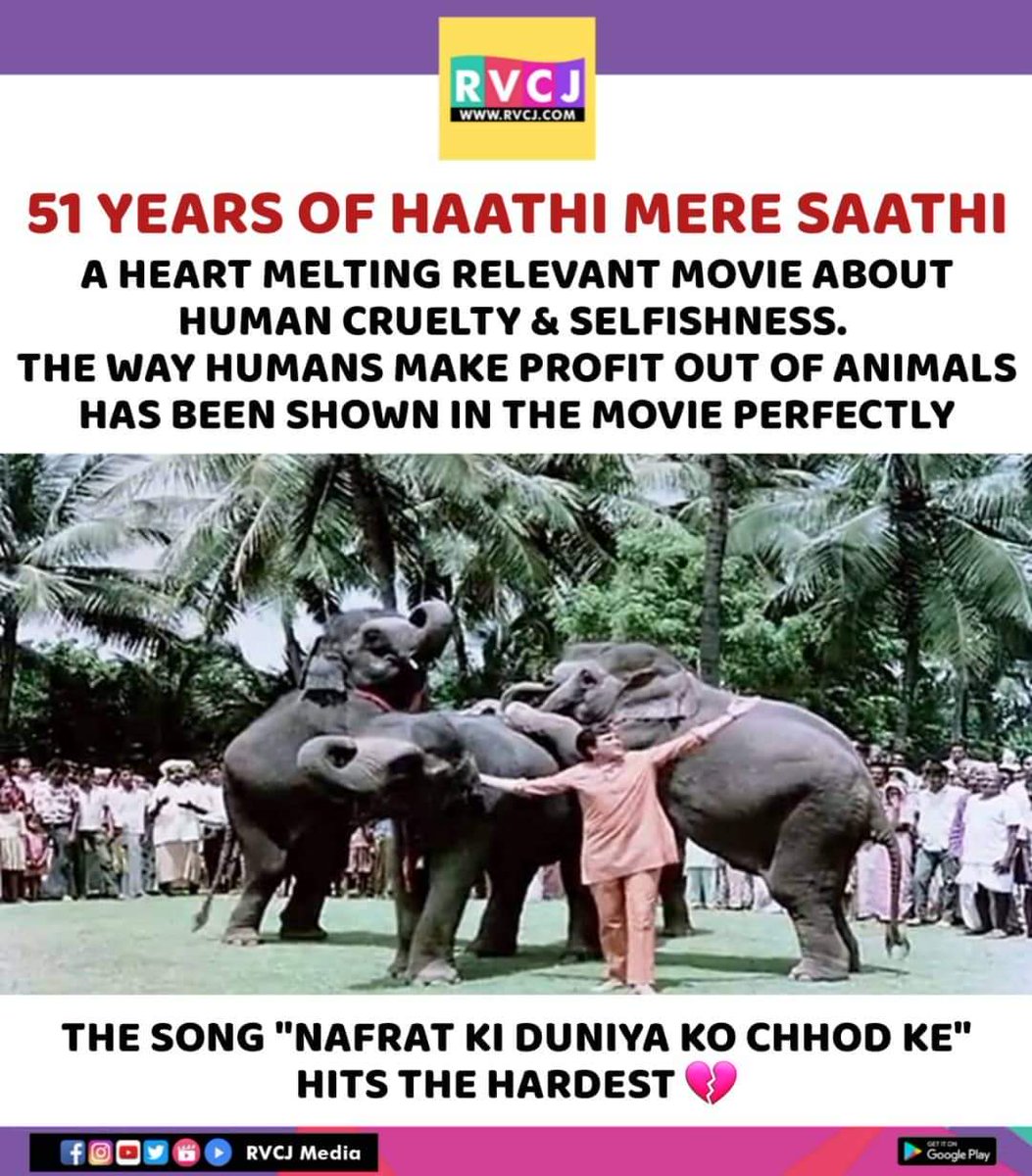 51 Years of Haathi Mere Saathi!

#haathimeresaathi #rajeshkhanna #rvcjmovies #rvcjinsta