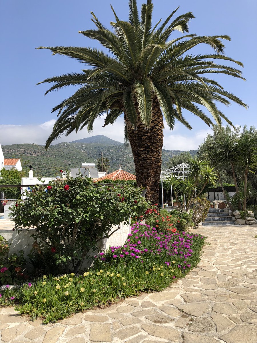 HotelSofia's tweet photo. Have a great month everyone 😊 not long till we open now 😊☀️ https://t.co/kqPc1xccmE