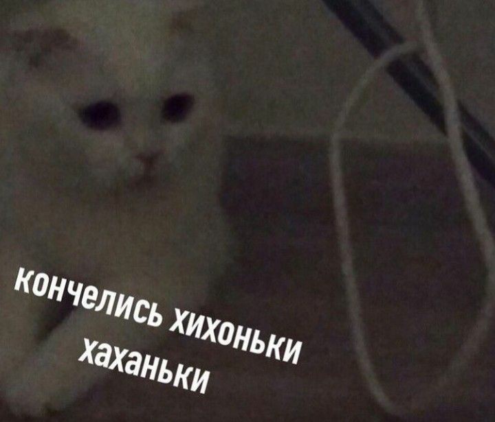 Мама: хочу приехать в среду, чтобы за детьми последить, в школу отправить
Коля: зачем за нами следить? 
Папа: надо, а то вдруг вы курите
Я: