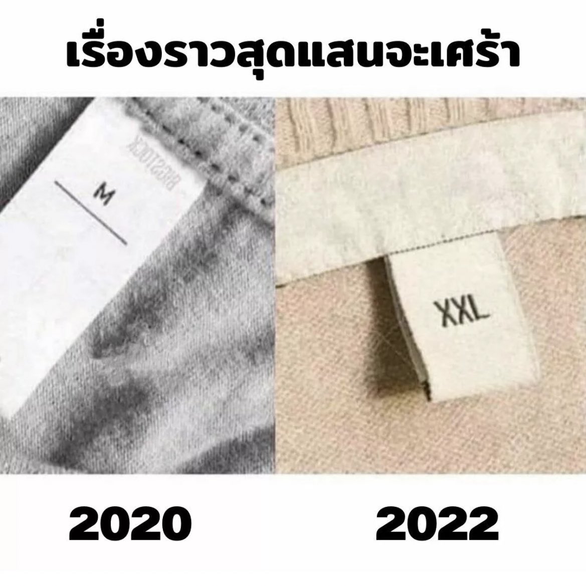ช่างแม่ง🐰🏳️‍🌈 tweet media