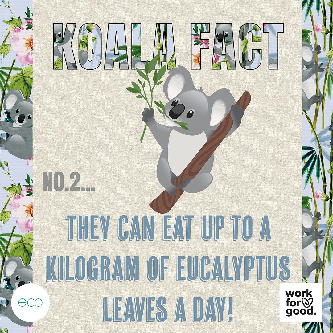 StyleStudioUK's tweet image. 🐨 Kirsty the Koala is helping us raise funds for WWF-UK’s Work for Good Campaign by highlighting our eco fabric range.

stylestudio.co.uk/eco-recycled-f…  

#stylestudiouk #wwf #workforgood #workforchange #eco #ecofriendly #rollerblinds #eucalyptus #leaves #wfg #recycled #koala #blinds