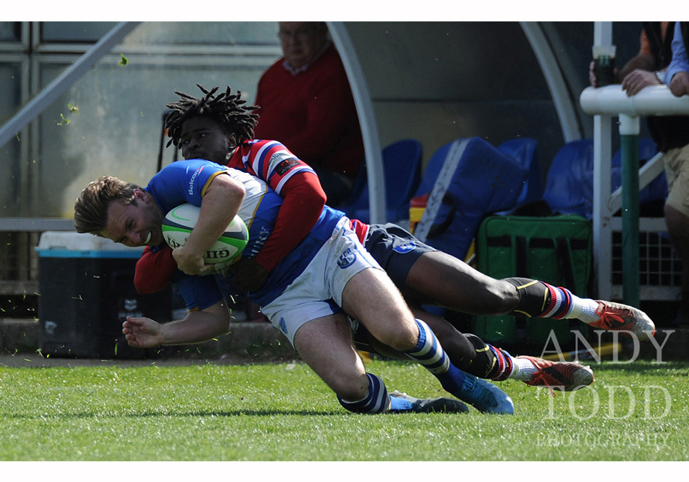 Andy Todd Photography tweet media