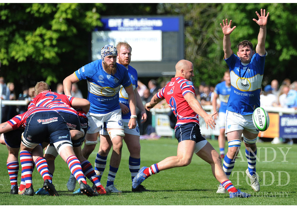 Andy Todd Photography tweet media