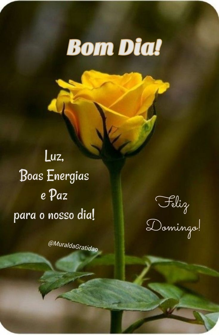 Sandra Duarte on Twitter: Sandra Duarte on Twitter: